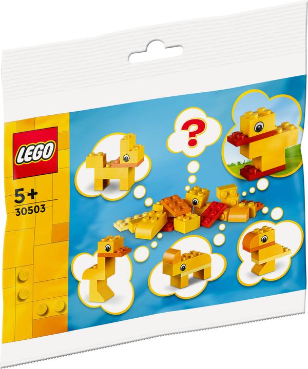 Actual product image LEGO Free building: Animals - You decide! (30503, LEGO Iconic)