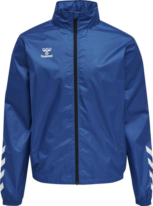 Trueblue