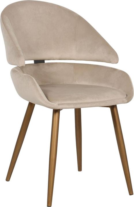 Produktbild Richmond Interiors Stuhl Denny Velvet (2er-Set)