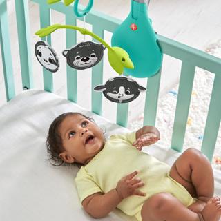 Actual product image Fisher-Price 3 in 1 mobile stroller toy