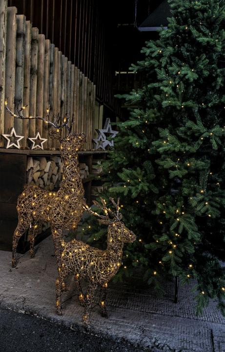 Produktbild STT Deer