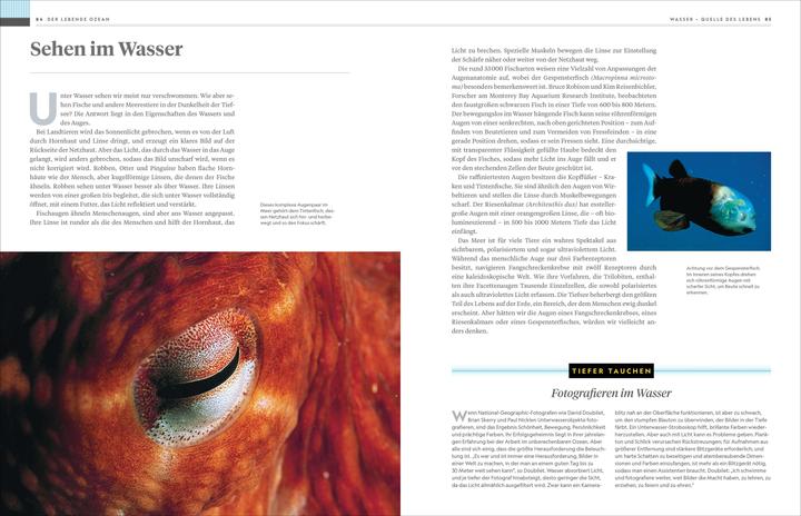 Produktbild National Geographic Das grosse Buch der Ozeane (Deutsch, Sylvia Earle, 2024)