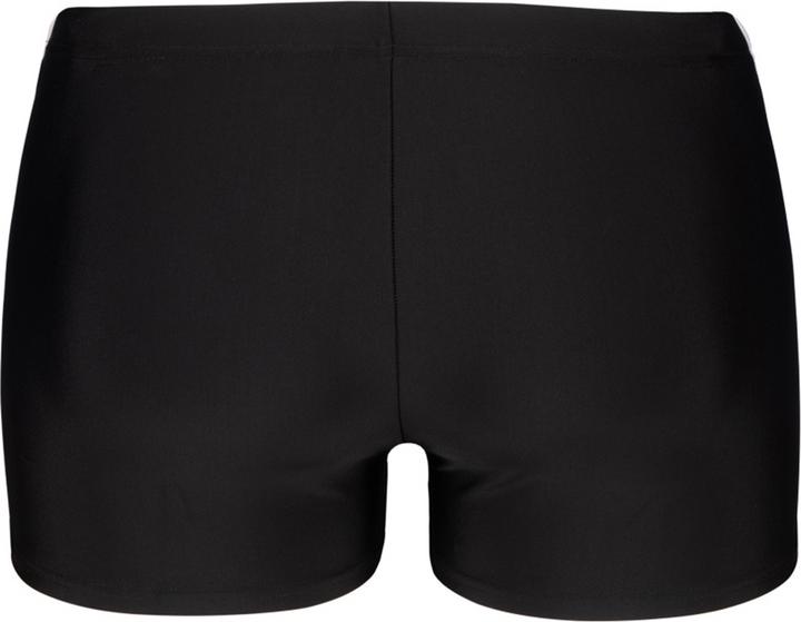 Immagine prodotto Arena Pantaloncini da bagno M Stripe (7)