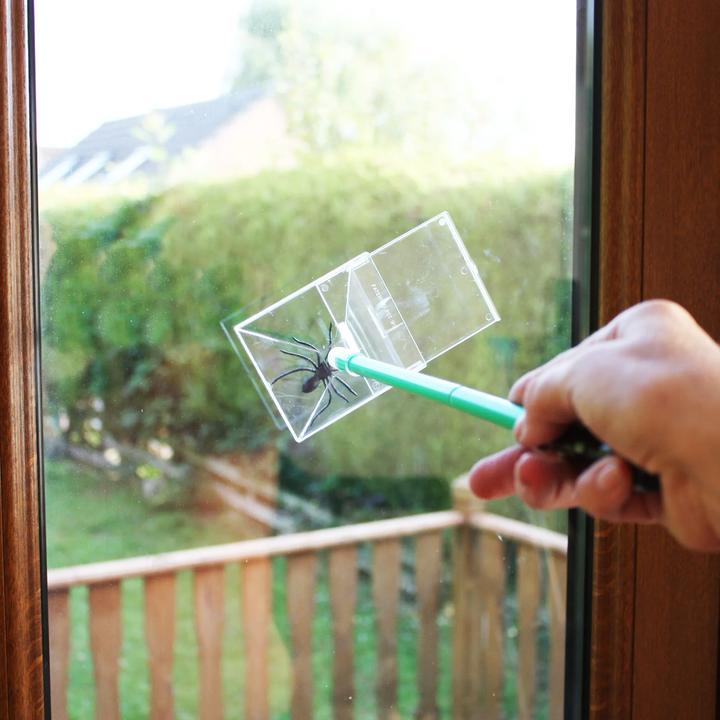 Immagine prodotto Katcha Acchiappa insetti