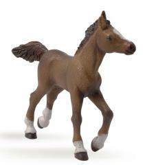 Actual product image Papo Anglo-Arabian foal