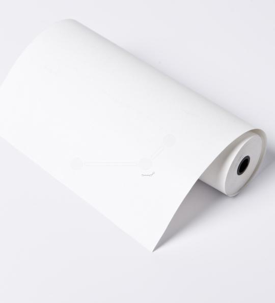 Immagine prodotto Brother PAR411 Rotolo di trasferimento termico A4 100 pagine Nero PJ-520