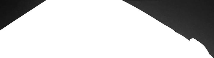 Productafbeelding HP Professionele Notebook Rugzak