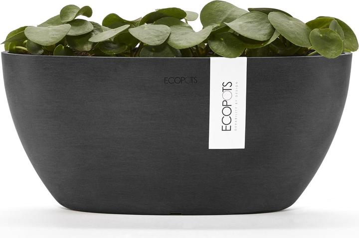 Actual product image Ecopots Sofia (13 cm)