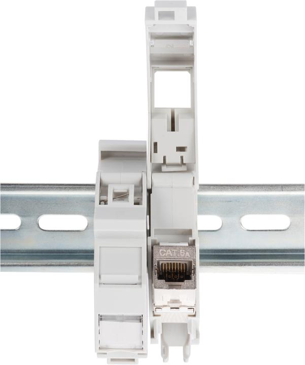 Image du produit Digitus Adaptateur à profilés chapeau pour les modules Keystone, IP20. (Support de module Keystone)