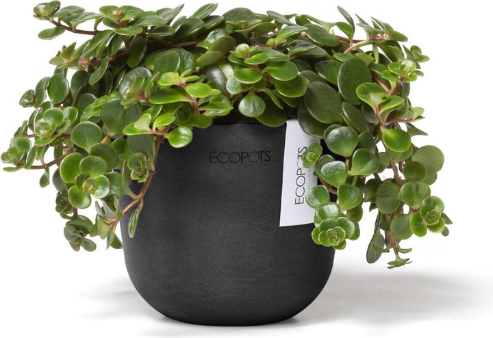 Produktbild Ecopots Oslo Mini (19 cm)