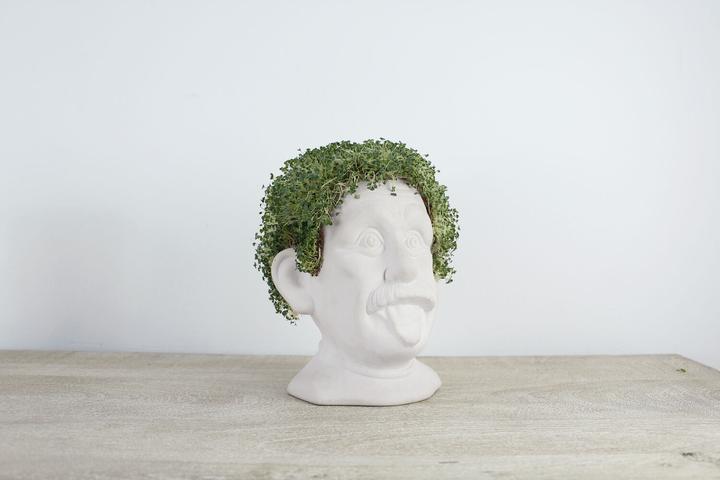 Actual product image Winkee - Genius Chia Planter - Compact