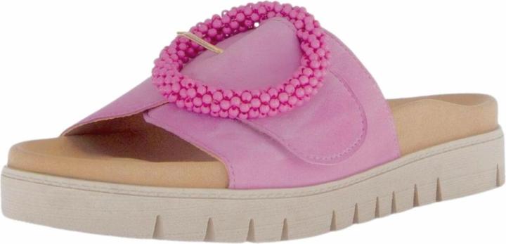 Rosa tenue 13