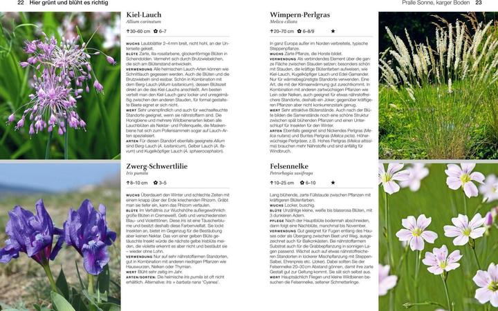 Immagine prodotto Welche Pflanze passt wohin im Naturgarten? (Tedesco, Paula Polak, 2020)