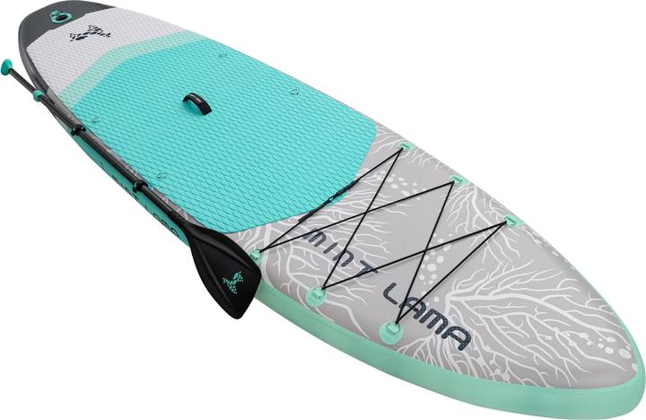 Image du produit Mint Lama Alpaga (11')