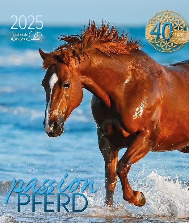 Produktbild Passion Pferd 2025 (Harter Einband, Deutsch)