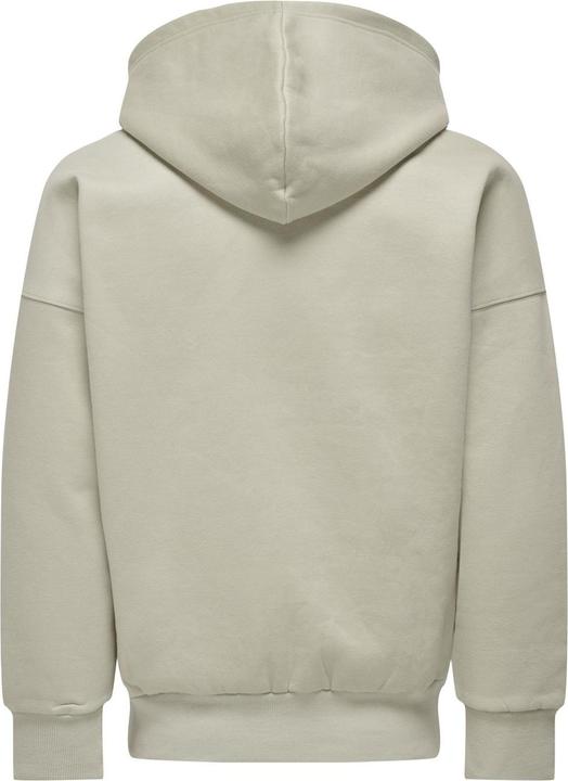 Actual product image Only & Sons Onsdan Life Rlx Heavy Zip Hoodie Noos (XXL)