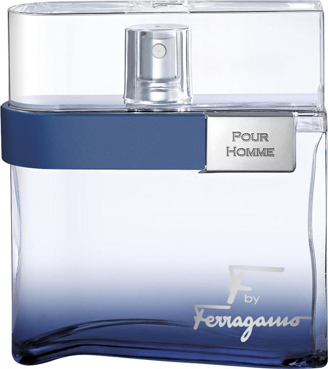 Salvatore Ferragamo F Free Time (Eau de Toilette, 100 ml)