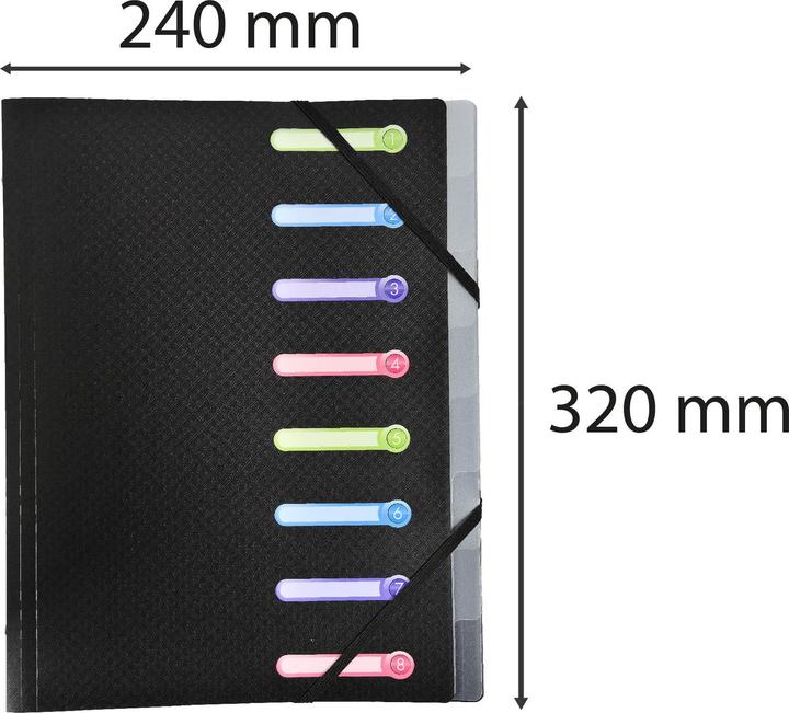 Actual product image Exacompta PP file folders (A4, 1 x)