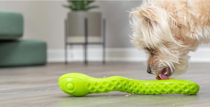 Produktbild Trixie Hunde-Spielzeug Snack-Snake, 27 cm, Grün (Kauspielzeug Hund)