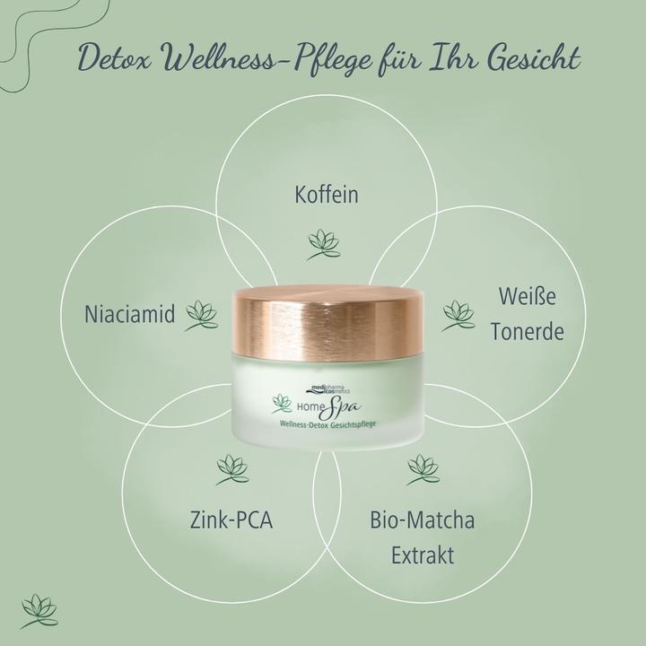 Image du produit Dr. Theiss Home Spa Wellne Detox Gesi, 50 ml CRE (50 ml)