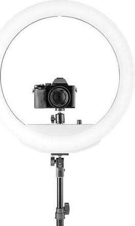 Actual product image Westcott 18” Bi-Color LED Ring Light Kit with Batteries and Stand (Ring light)