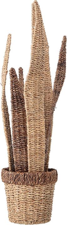 Immagine prodotto Bloomingville Sansevieria