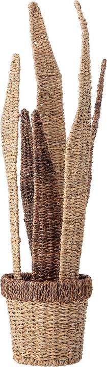 Immagine prodotto Bloomingville Sansevieria