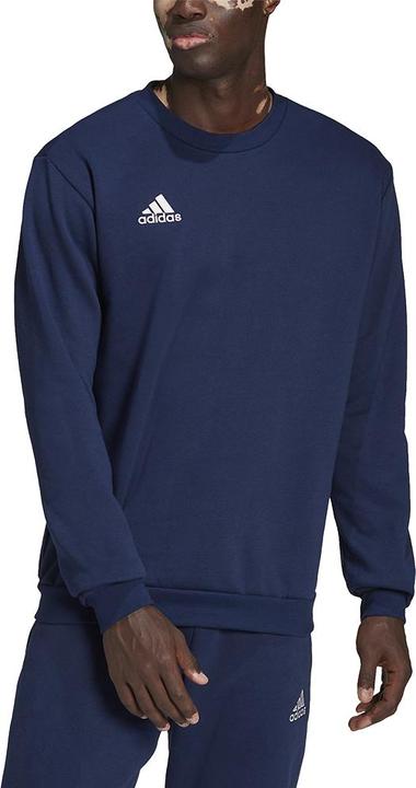 Actual product image adidas Entrada 22 sweatshirt men (S)