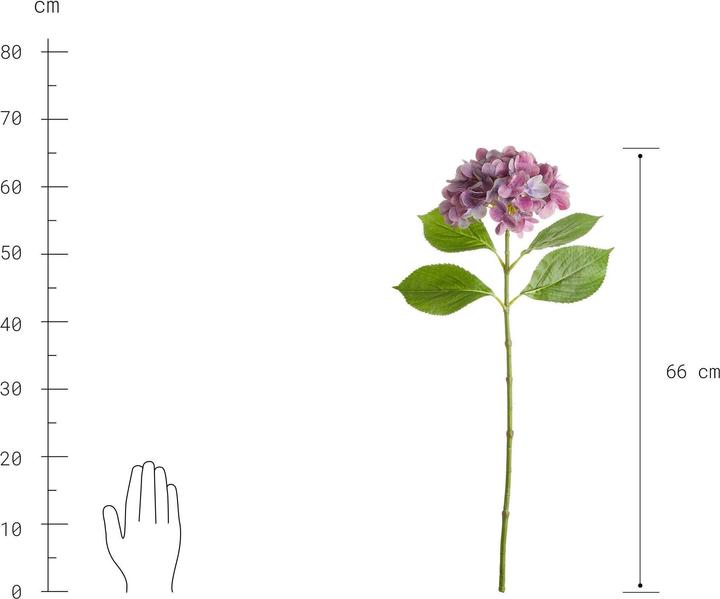 Produktbild home24 Florista