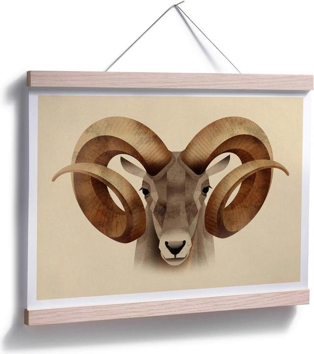 Image du produit Trenddeko Urial (50 x 40 cm)