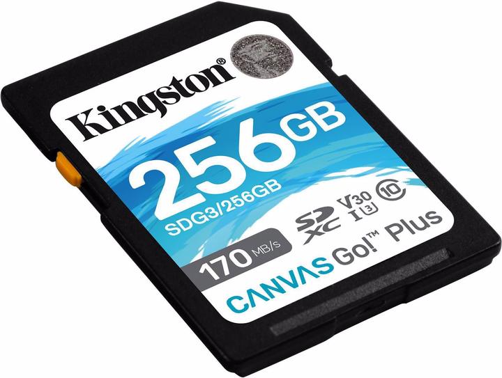 Image du produit Kingston Canvas Go! Plus (256 Go, SDXC, U3, UHS-I)