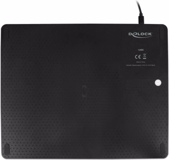 Actual product image Delock 12595 (M)