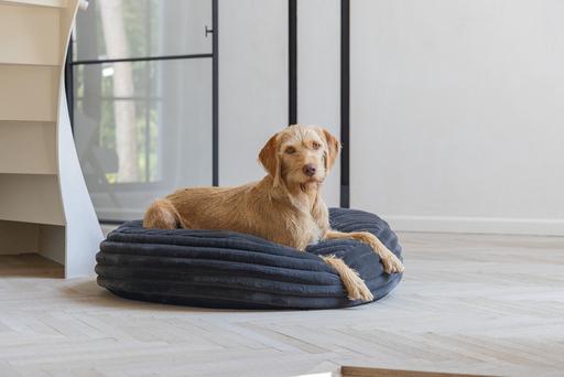 Actual product image Designed by Lotte Reza reclining cushion (Dog)