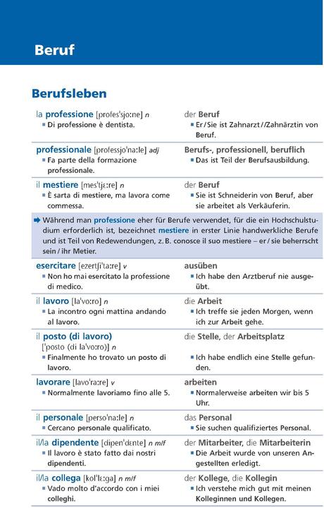 Actual product image Langenscheidt Grundwortschatz Italienisch (German, Italian, 2023)