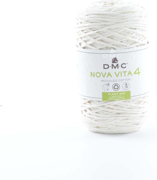 Actual product image DMC Eco Vita 4 (200 m)