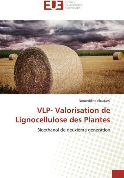 Produktbild VLP- Valorisation de Lignocellulose des Plantes (Noureddine Eloutassi, 2015)