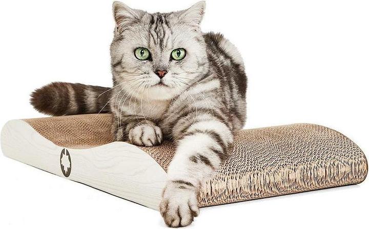 Immagine prodotto CanadianCat Cometa L (7 cm, Dgrey)