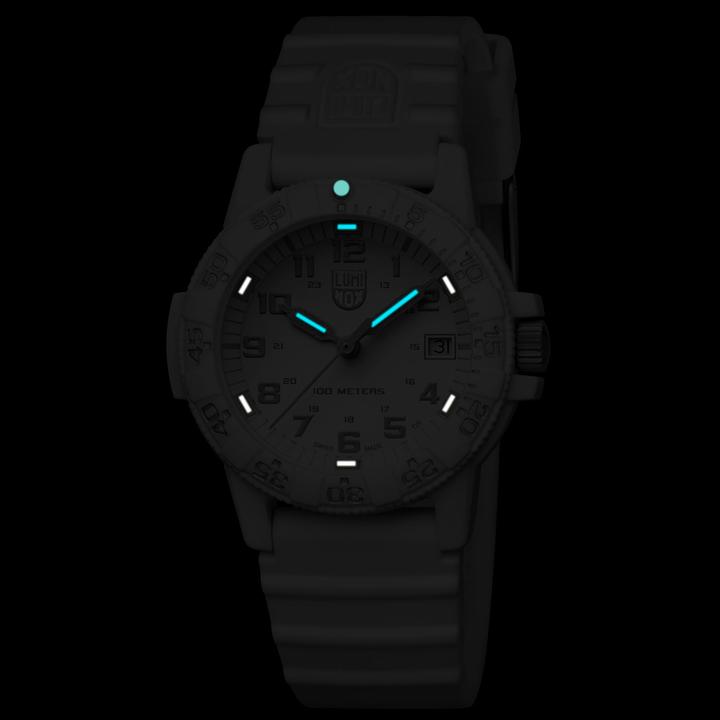 Immagine prodotto Luminox Tartaruga marina Leatherback Serie 0300 (Fatto in Svizzera, Orologio da polso analogico, 39 mm)