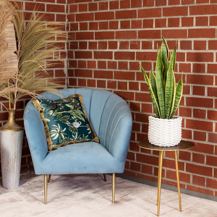 Actual product image Flowerbox Striped snake plant - height ca. 65 cm, pot-Ø 17 cm - Sansevieria trifasciata Laurentii (65 cm)