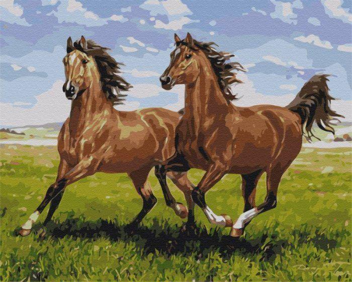 Produktbild Syma Picture Paint it! Painting by numbers Horses in the meadow