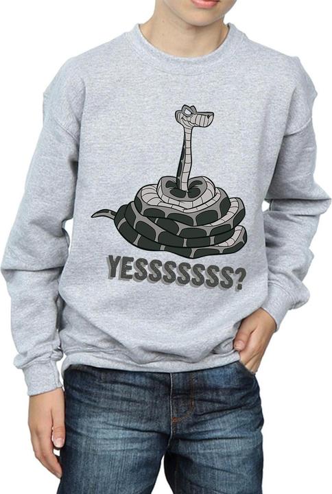 Actual product image Disney Boys The Jungle Book Kaa Yesssss Sweatshirt (140, 146)