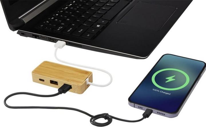 Actual product image Generic Tapas Bamboo USB 3.0 Hub (USB-C)