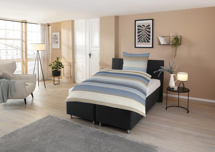 Casatex Levio