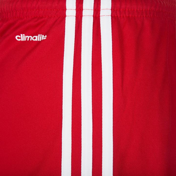 Actual product image adidas Squadra 17 Short (S)