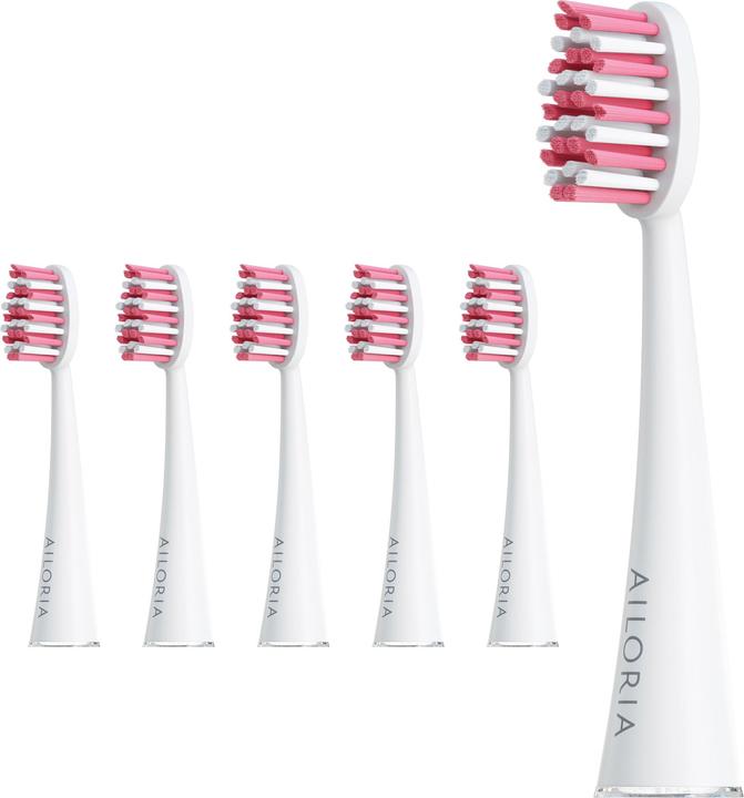 Actual product image Ailoria Shine Bright (6 x)