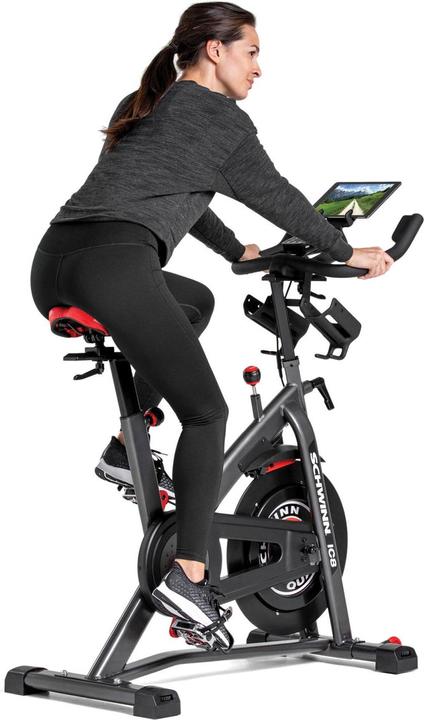 Actual product image Schwinn 800IC