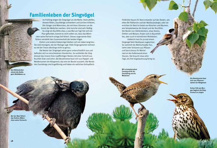 Produktbild Entdecke die Singvögel (Deutsch, Thomas Schmidt, 2015)