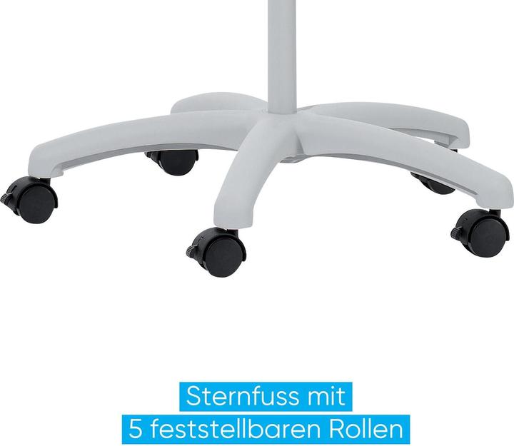 Actual product image Franken Flipchart (65 x 100 cm)