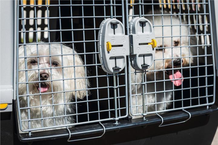 Produktbild Kerbl Gulliver Touring (Hund, Katze, Abschliessbar, Komplett zu öffnen)
