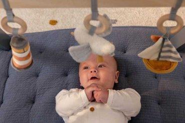 Actual product image Little Dutch Babygym